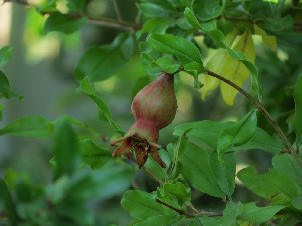 Photograph by Иван Скрипкин