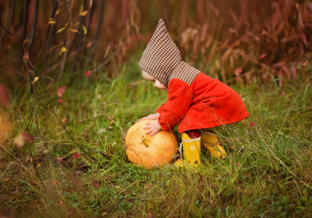 Photograph by Елена Кусова