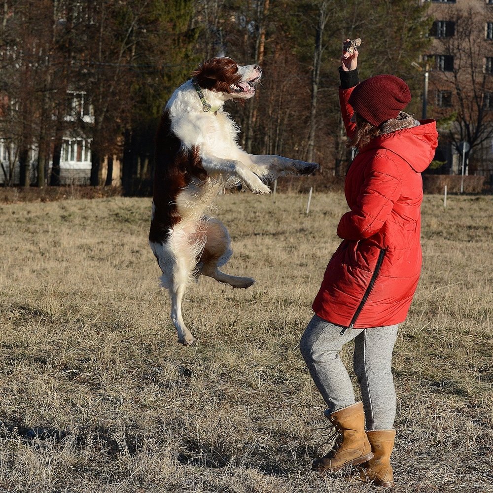 Photograph by Ариф Нариманов