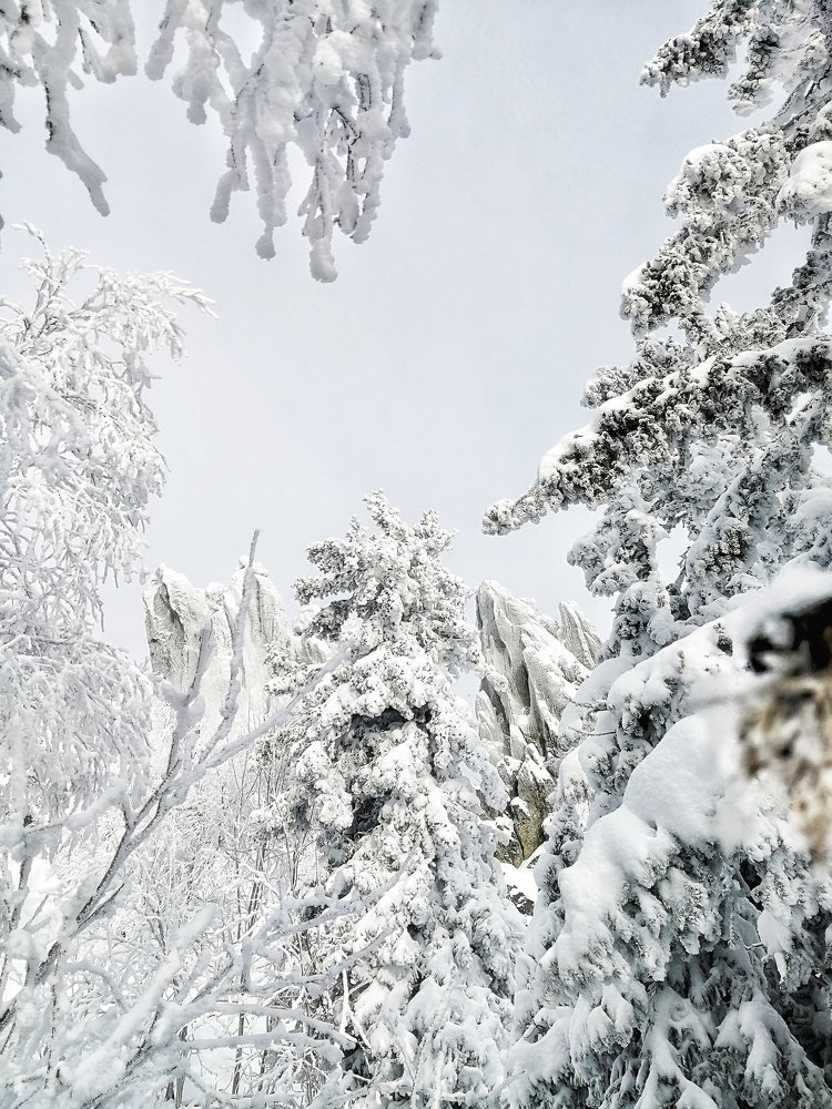 Припорошило