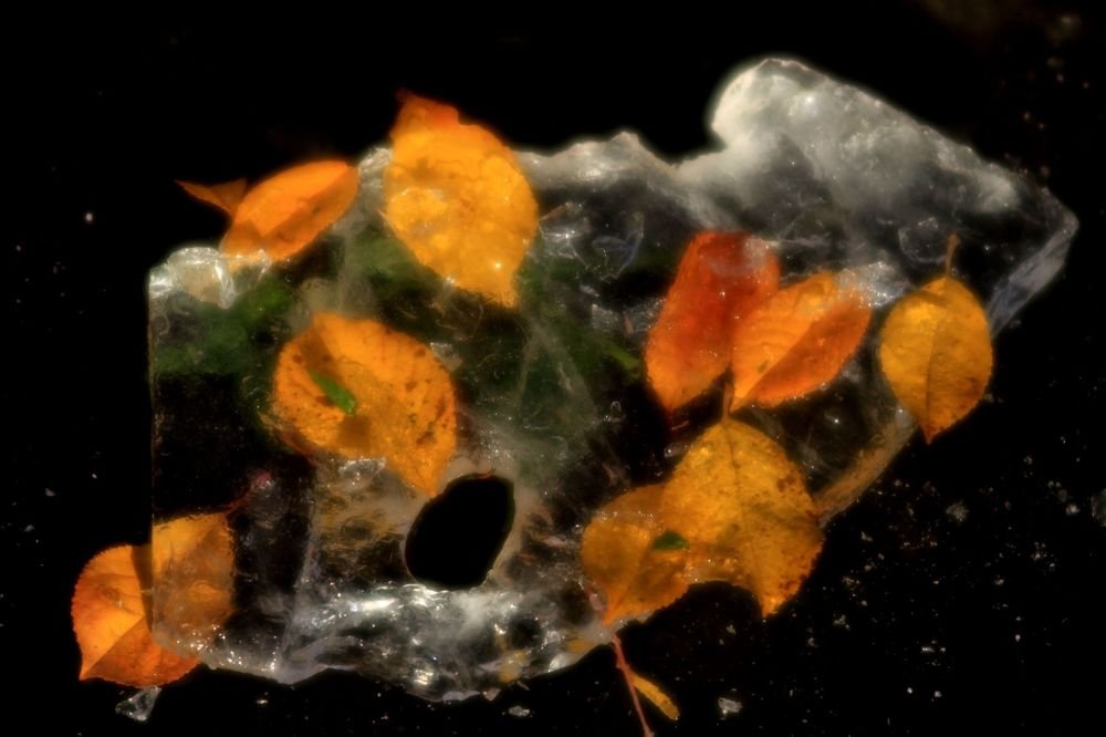 Палитра импрессиониста