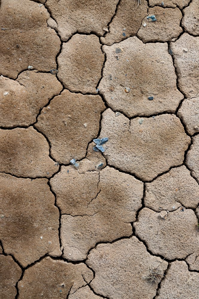 Photograph by Василий Бережной