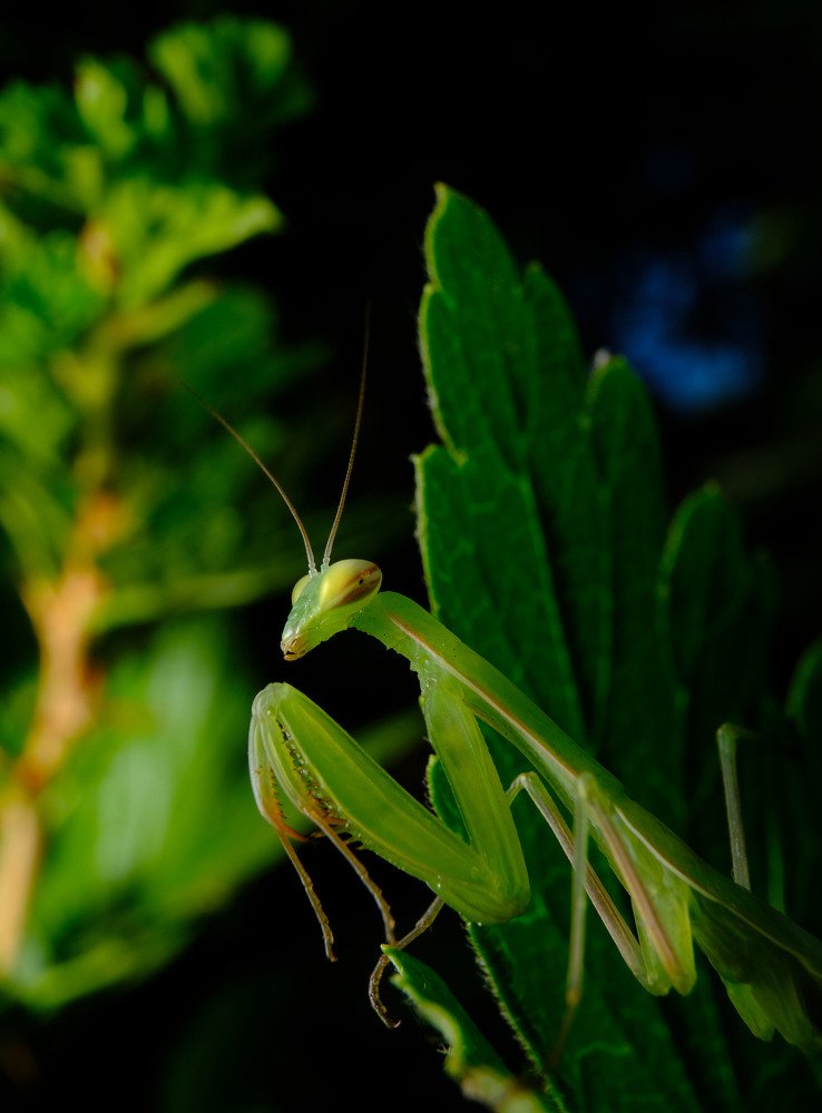 Вас заметили