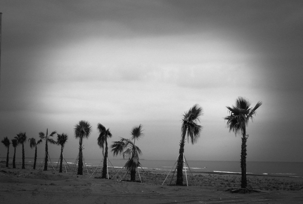 Photograph by arian saharkhiz