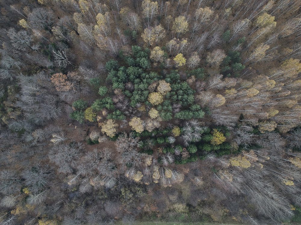 Photograph by Александр Мольков