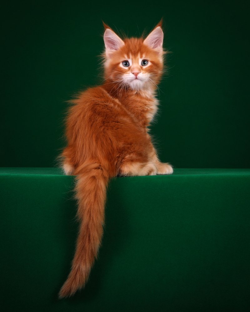 Photograph by Светлана Воскресенская