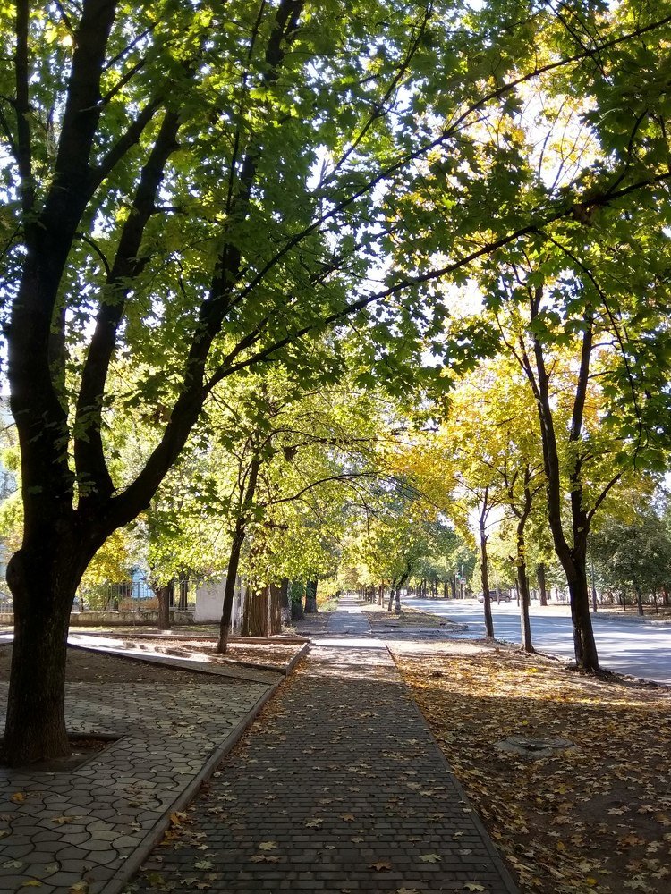 Photograph by Вероника Грабчук