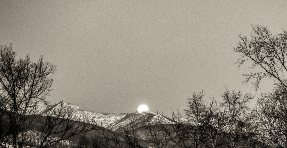 Фотография автора Olena Vorotyntseva