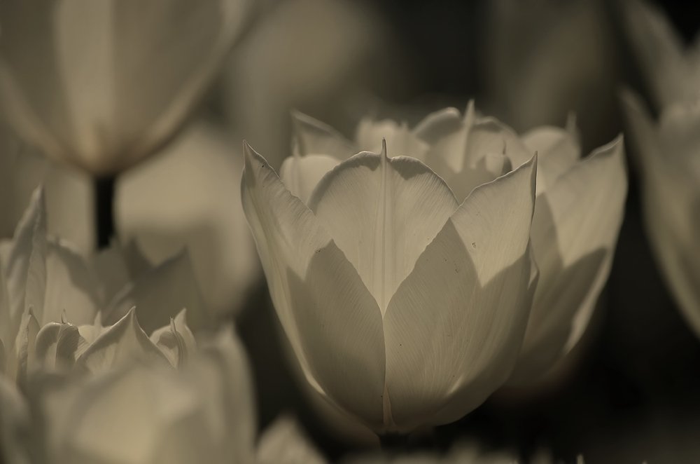 Фотография автора AYLIN EROZCAN