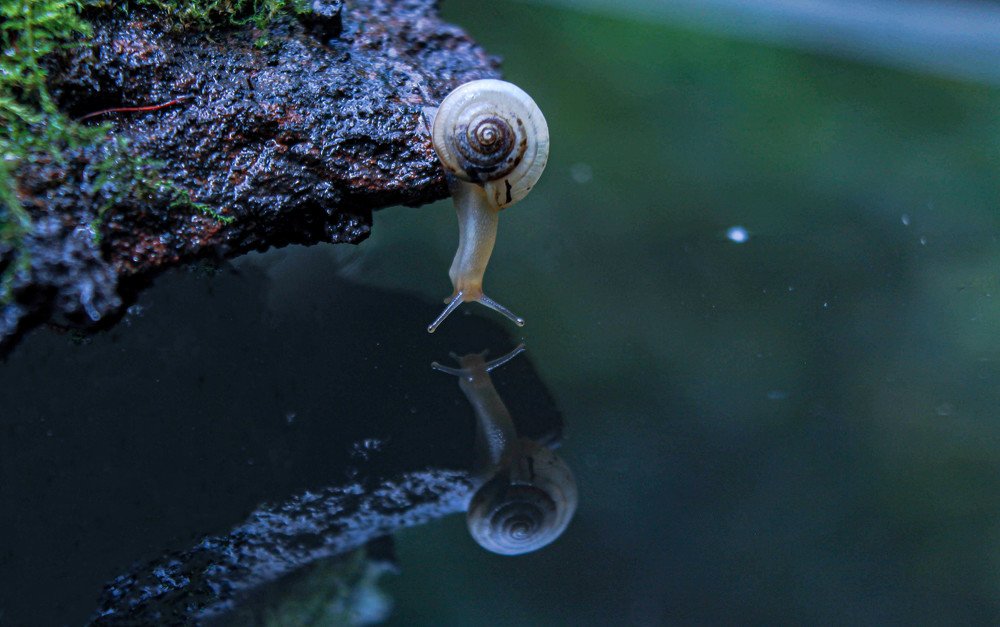 Photograph by Anzhelika Skoropostizhnaya