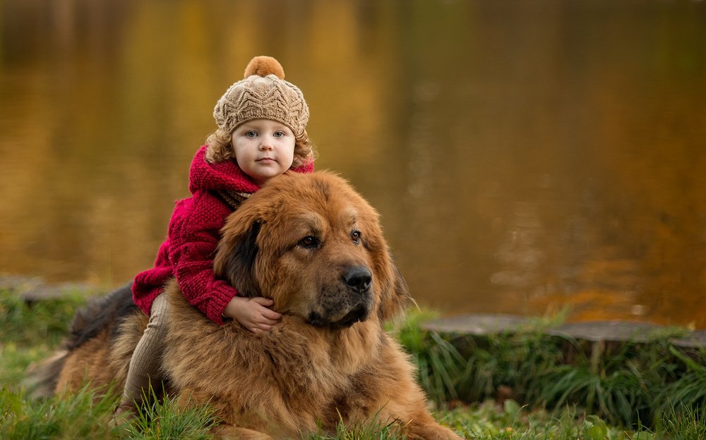 Photograph by Анна Цыплакова