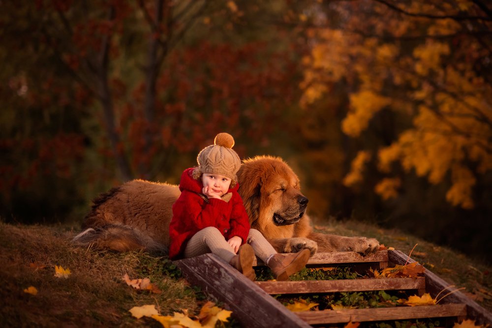 Photograph by Анна Цыплакова