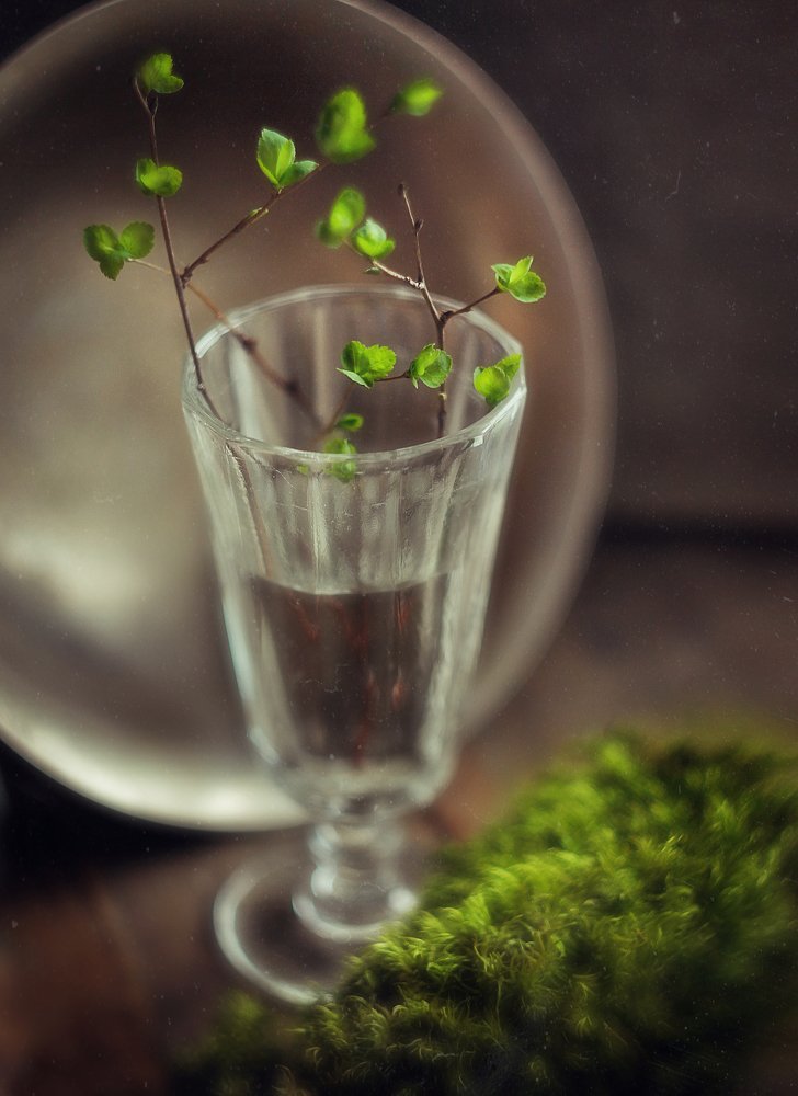 Photograph by Svoboda Andreeva