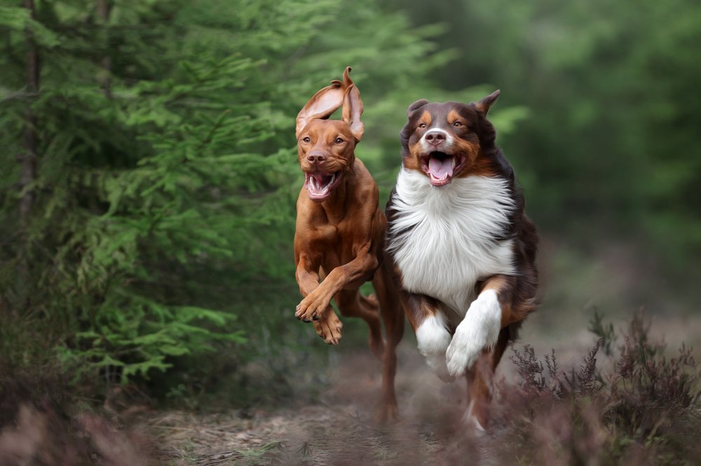 Photograph by Надежда Иванова