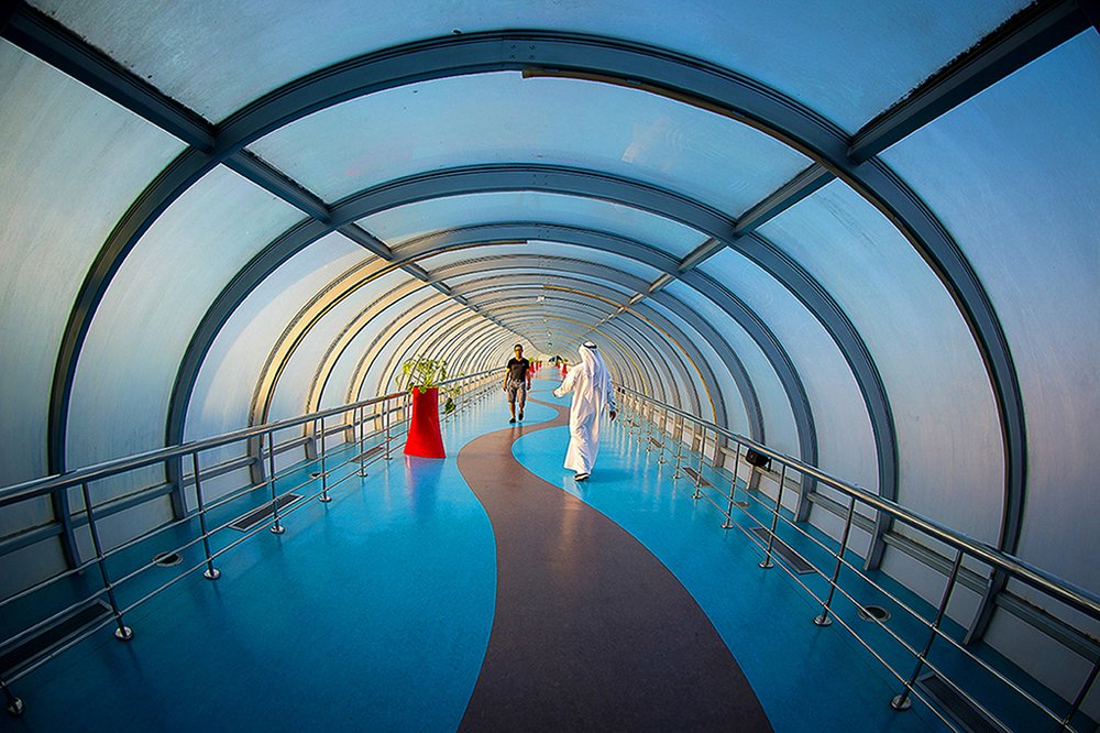 Фотография автора Najla Angawi