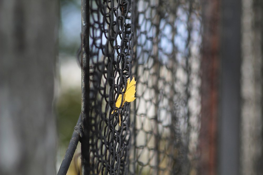 Фотография автора Дарина