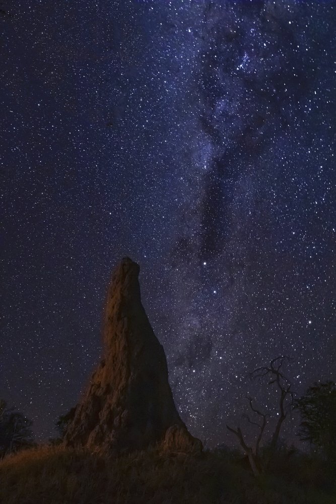 Photograph by THEODORE MATTAS