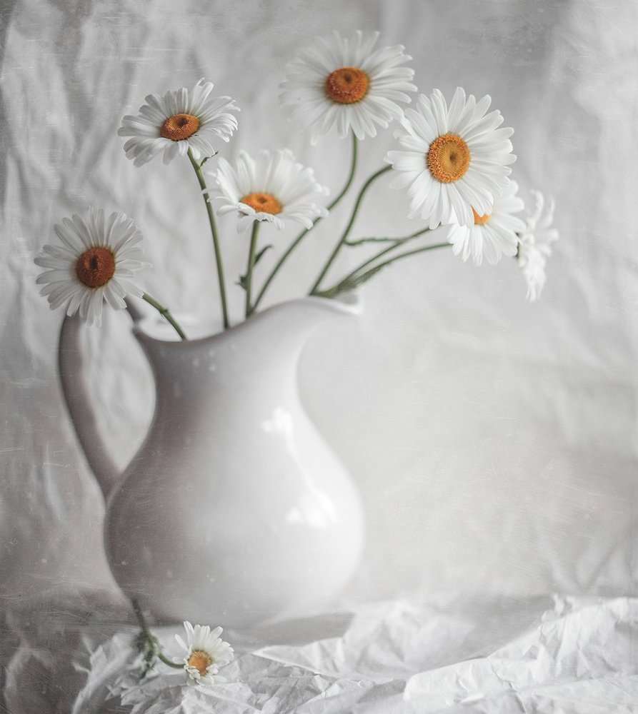 Photograph by Svoboda Andreeva