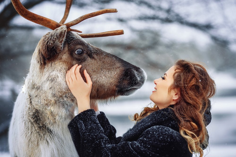 Фотография автора Ангелина Косова