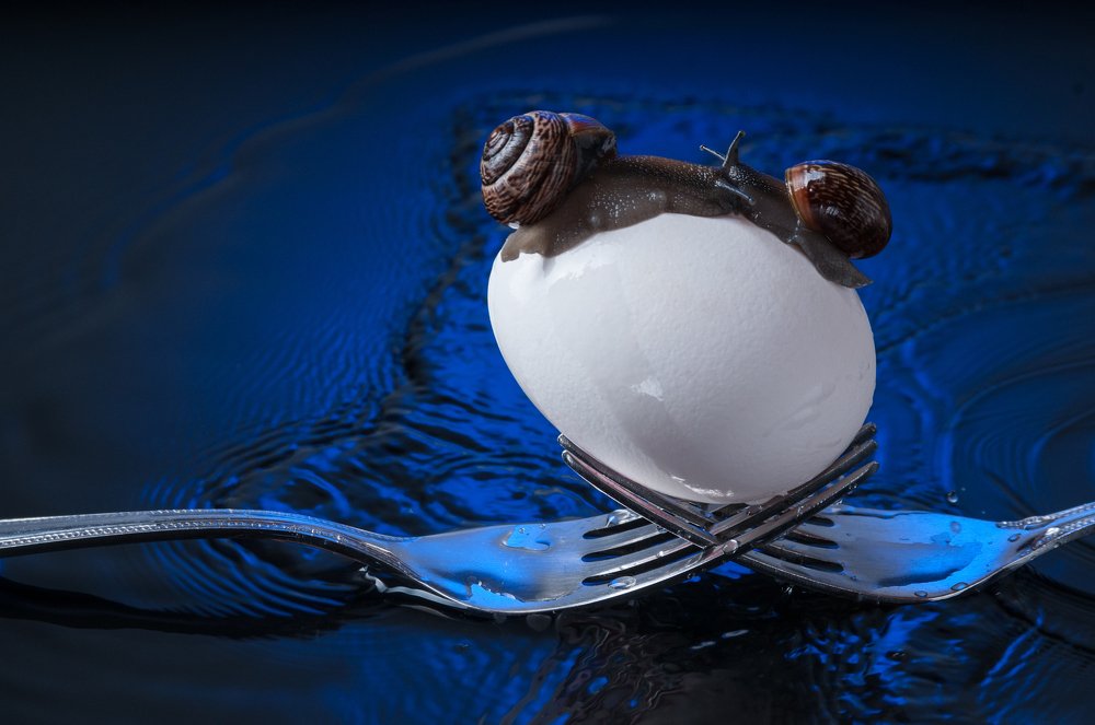 Фотография автора Кирилл Сизов