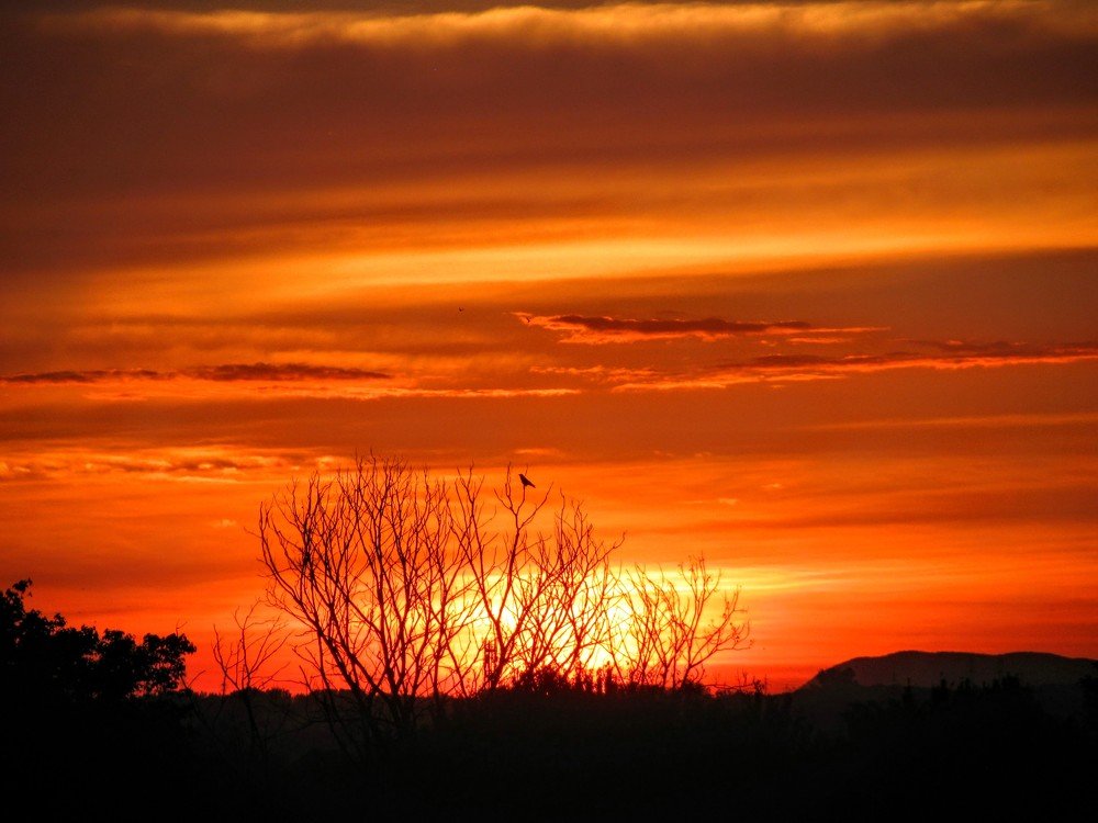 Photograph by Eric Dupuis