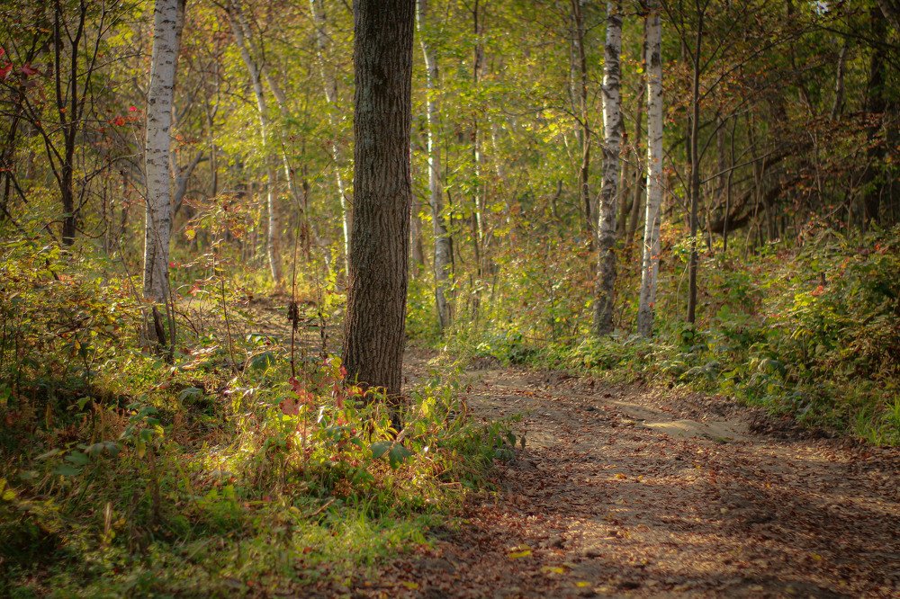 Photograph by Маргарита Федурина