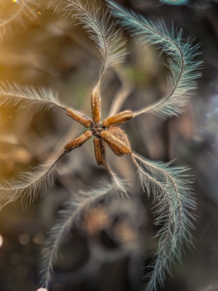 Photograph by Людмила Носова