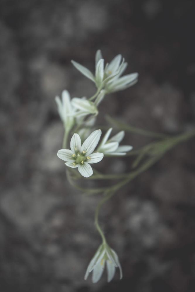 Photograph by Маргарита Федурина