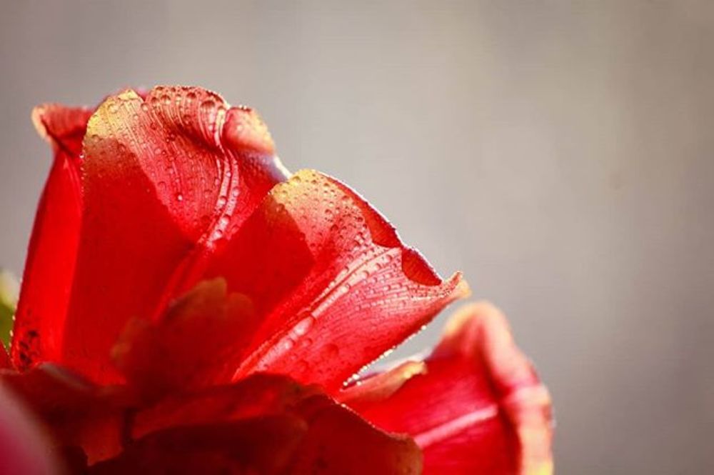 Photograph by Маргарита Федурина