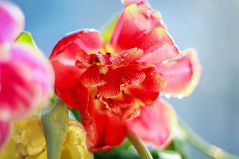 Photograph by Маргарита Федурина