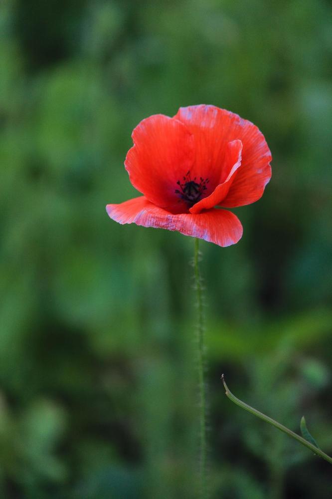 Photograph by Маргарита Федурина