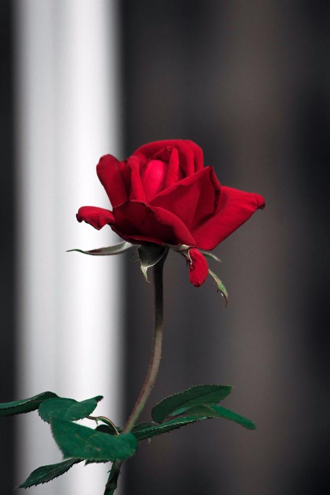 Photograph by Маргарита Федурина