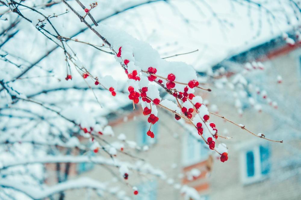 Photograph by Маргарита Федурина