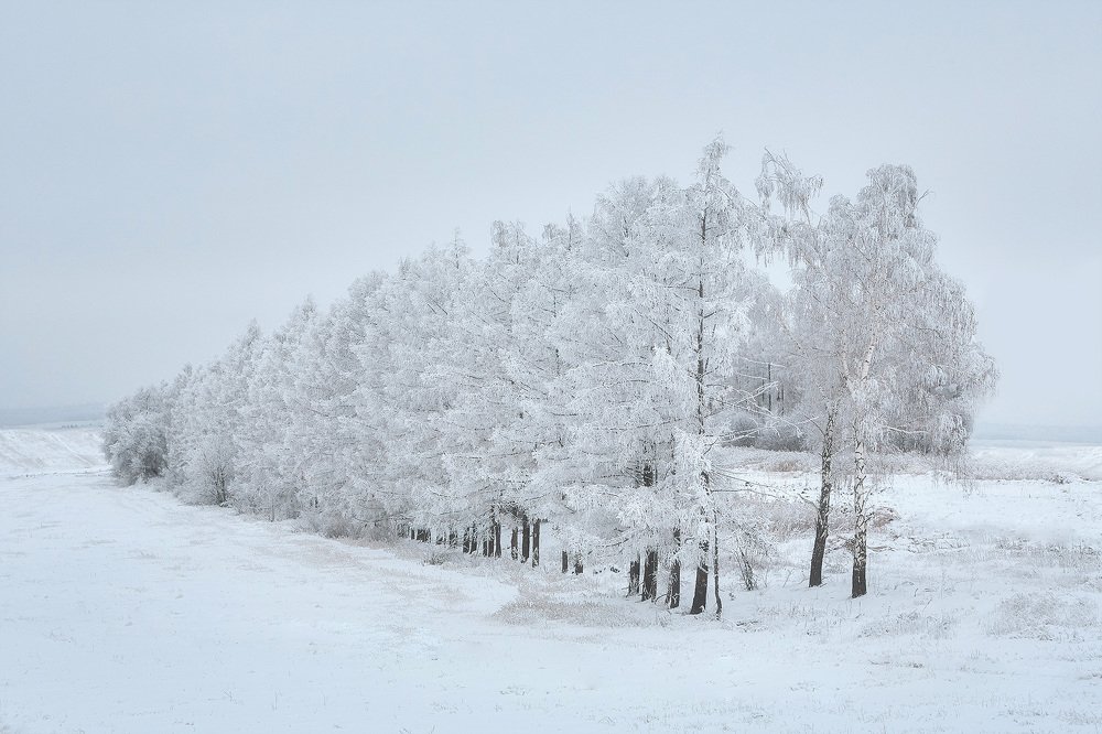 Photograph by Михаил Иванов