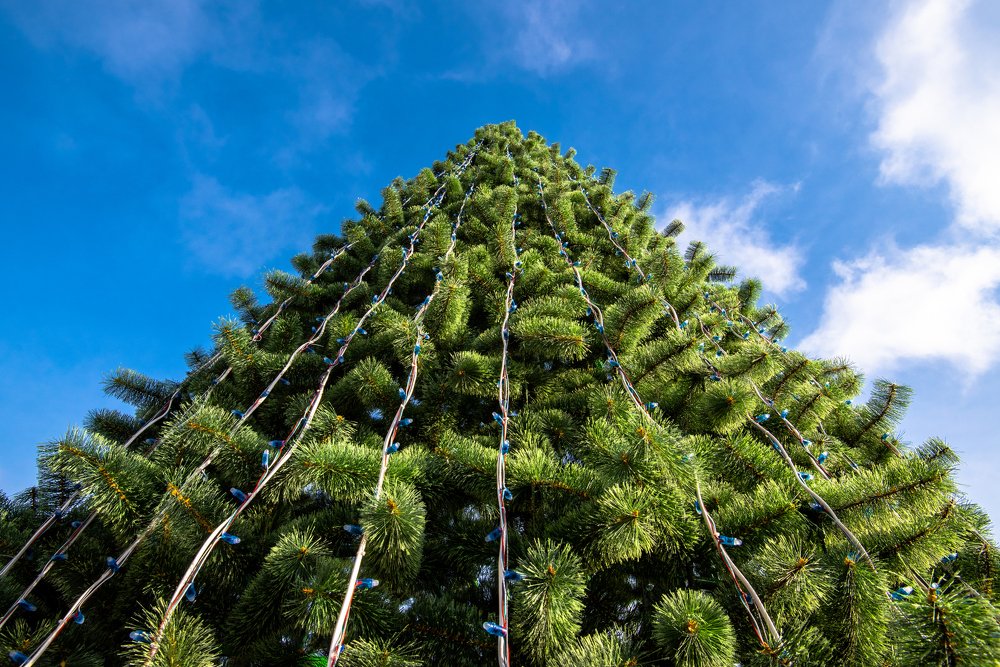 Photograph by Кадырова Марина