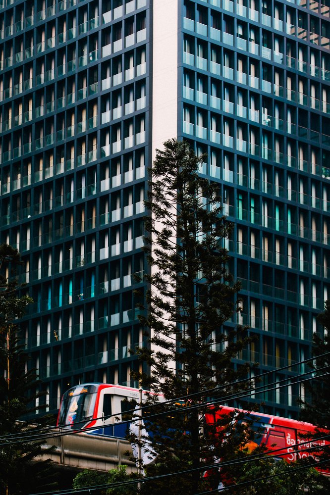 Photograph by Krid Karnsomdee