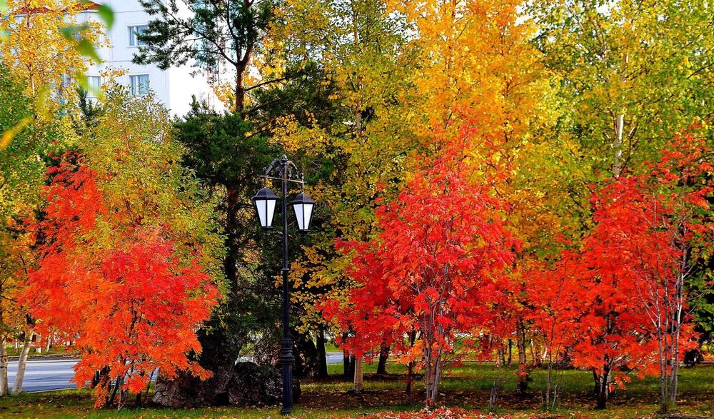 Красный- желтый - зелёный.