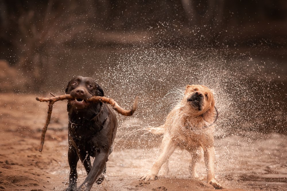 Photograph by Динара