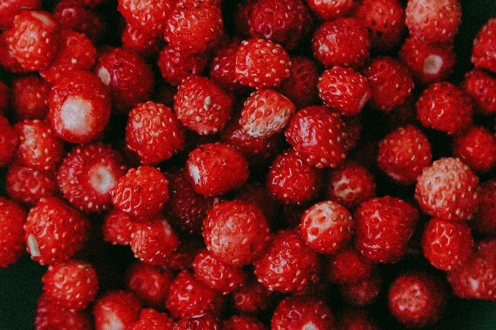 Photograph by Светлана Воскресенская