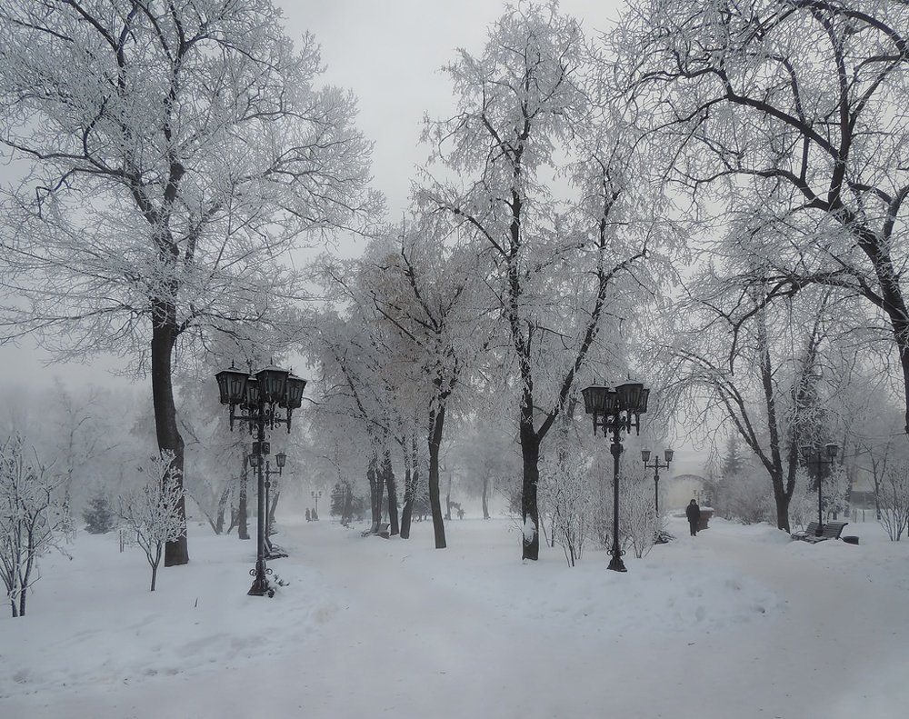 Фотография автора Роман Савоцкий