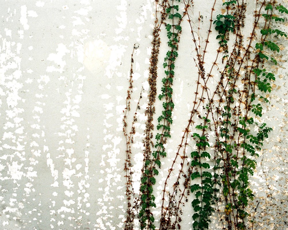 Фотография автора Ranasinghe Nadishka