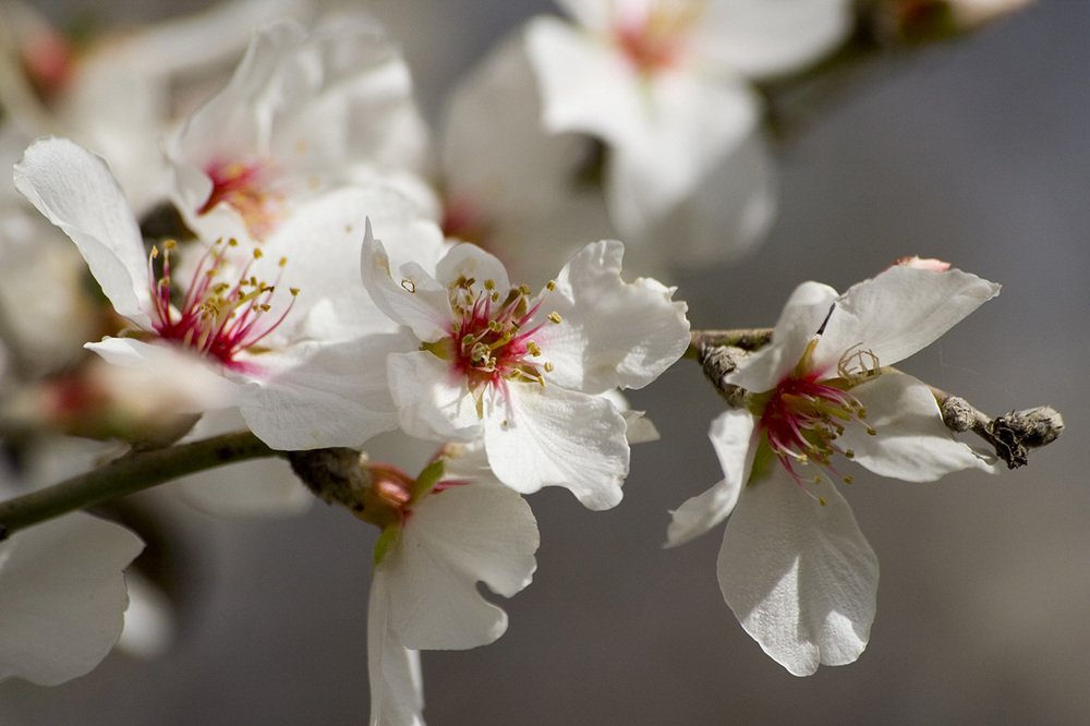 Фотография автора Nikolay Tatarchuk