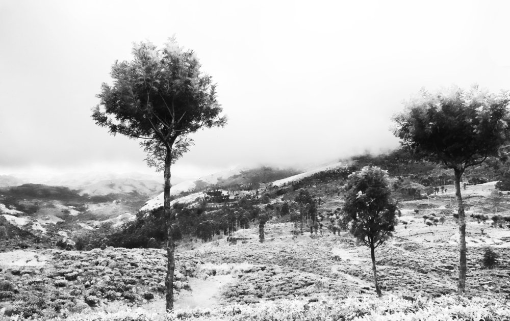 Фотография автора Ranasinghe Nadishka