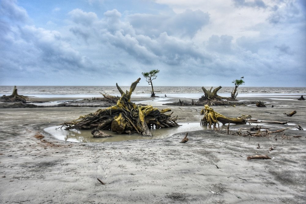 Photograph by Moinul Hossain Rana