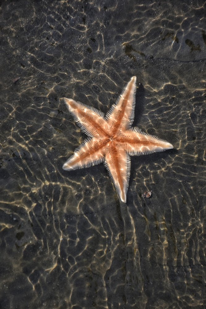 Photograph by Moinul Hossain Rana