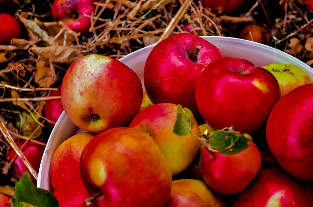 Photograph by Виктория Чушкина