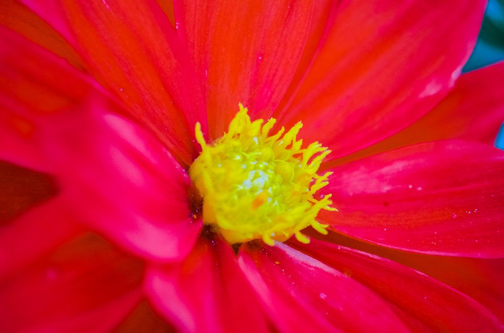 Photograph by Виктория Чушкина