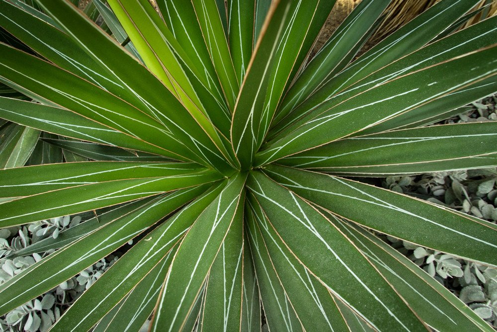 Photograph by Татьяна Бирюкова