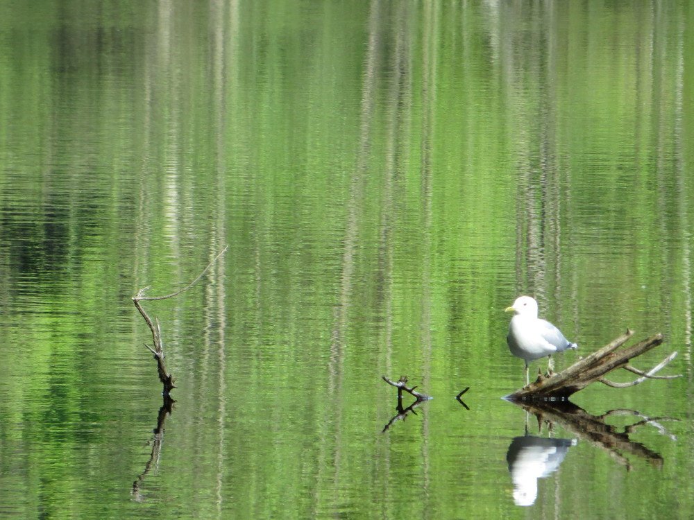 Photograph by Галина