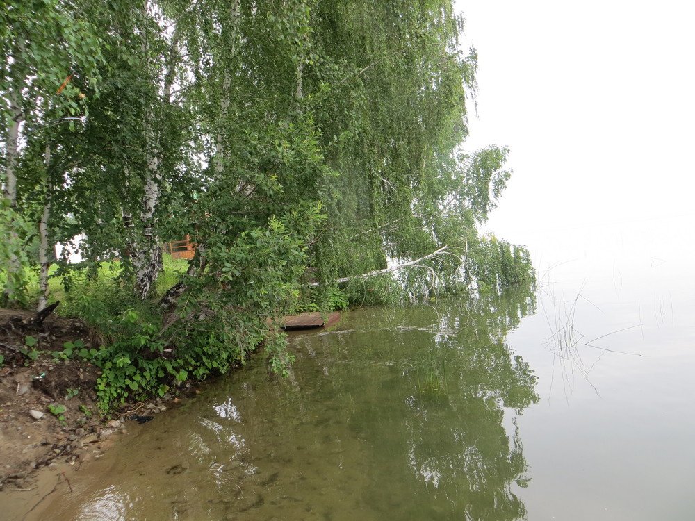 Photograph by Галина